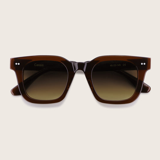 Brown sunglasses with gradient lenses on a beige background
