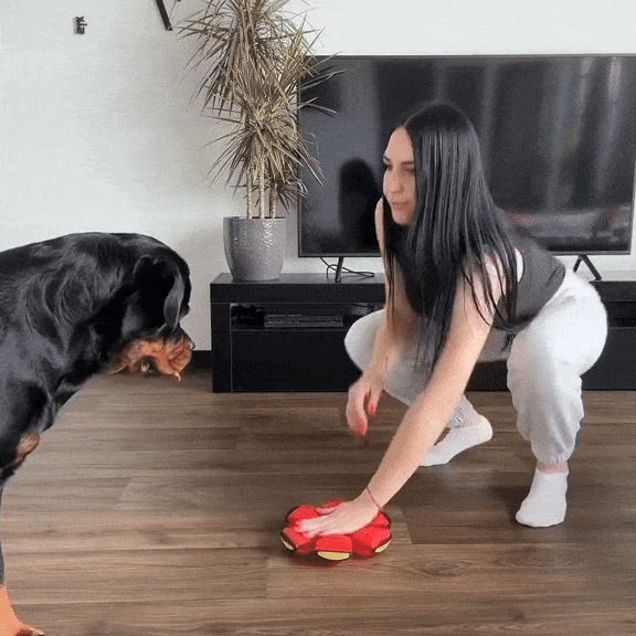 2-Pack Flying Saucer Dog Balls